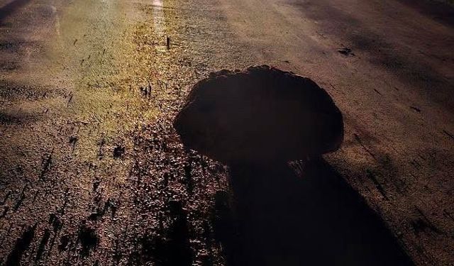 Yamaçtan kopan kaya parçaları Karabük-Yenice kara yoluna düştü