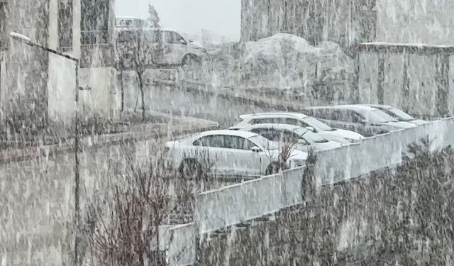 Yüksekova'da kar ve sis etkili oldu: Görüş mesafesi 20 metreye düştü