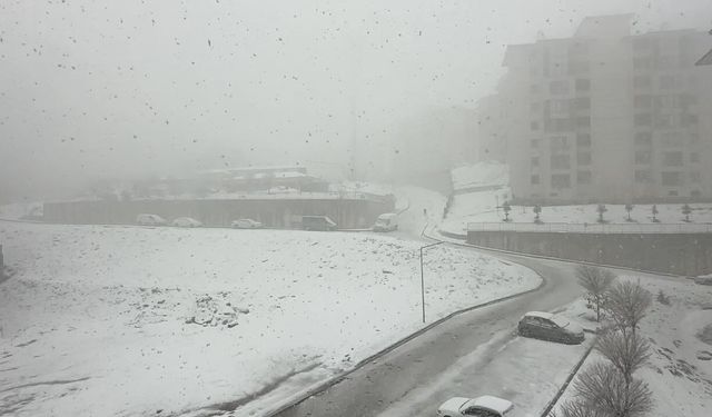 Yüksekova'da nisan ayında kar esareti