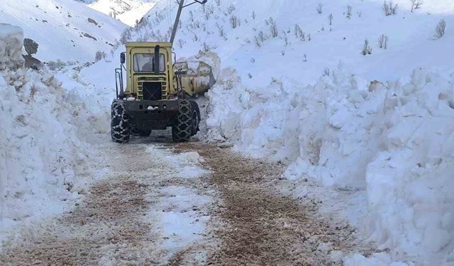 Yurda bahar geldi, Ovacık'ta karla mücadele sürüyor