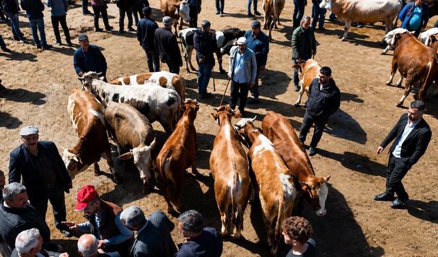 Ağrı'da kurban pazarı hareketlendi, sevkiyatlar arttı