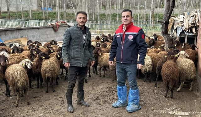 Aydıntepe'de kırsal üretimi destekleyen projede kontroller sürüyor