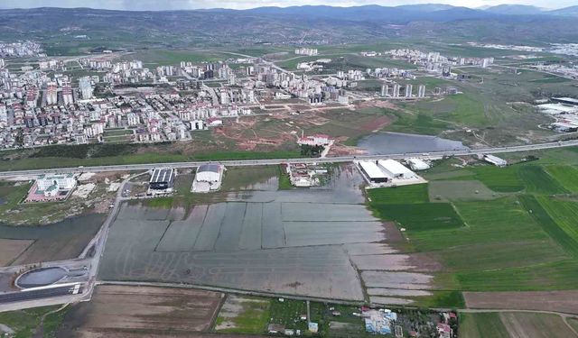 Bali değil Sivas, pirinç değil hububat tarlası