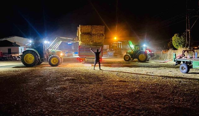 Balyacılardan sezon öncesinde çiftçilere 'sap fiyatı' çağrısı