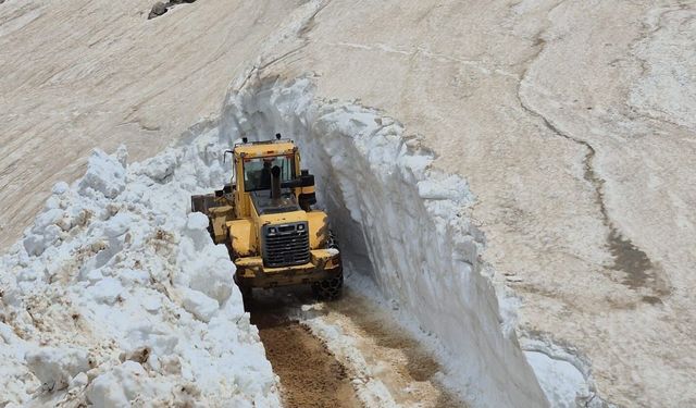 Bitlis'te mayıs ayında karla mücadele sürüyor