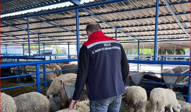Bolu'da kurban pazarlarına yönelik denetim yapıldı