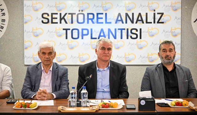 Buğdayda yağış bereketi: Rekoltede yüzde 25 artış bekleniyor