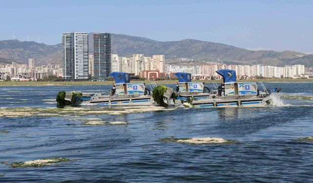 Büyükşehir'den Körfez'de temizlik mesaisi