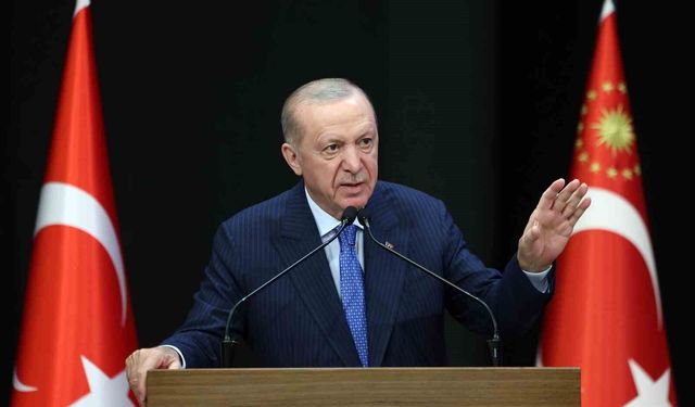 Cumhurbaşkanı Erdoğan: 'Muhalefet öyle istiyor diye biz Türk diasporasına sırtımızı dönemeyiz'