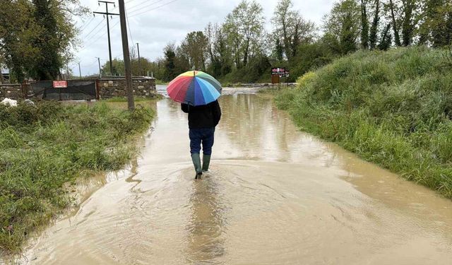 Düzce'de sağanak köprü yıktı, tarım arazileri ve evleri su bastı