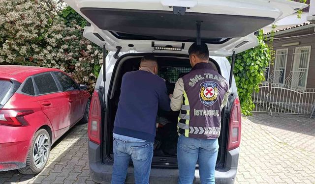 Fatih'te trafikte tartışan sürücüye 180 bin lira ceza