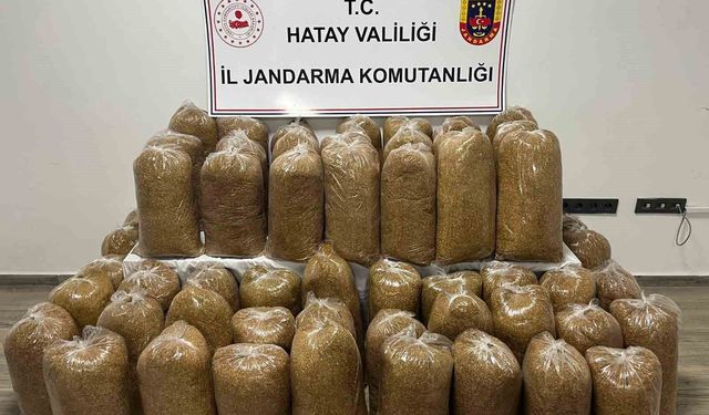 Hatay'da Jandarma'dan geniş çaplı asayiş operasyonu