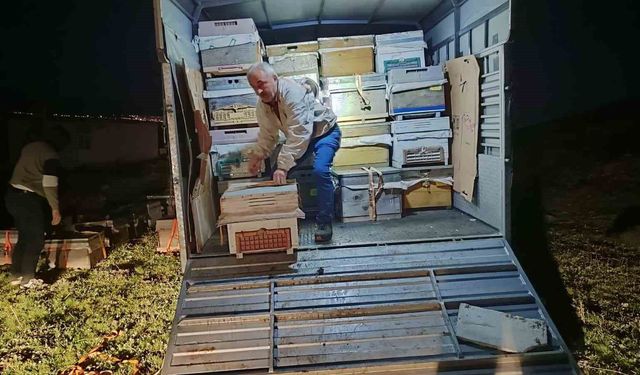 Karadeniz'in gezgin arıcıları yeni sezon için Doğu Anadolu'nun dağlarını mesken tuttu