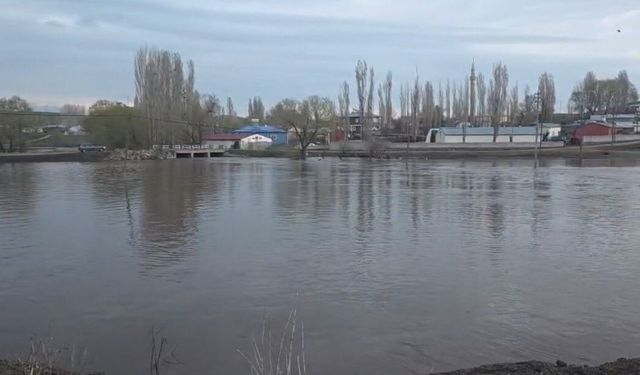 Kars'ta Möküz Çayı taştı: Evler ve ahırlar sular altında kaldı