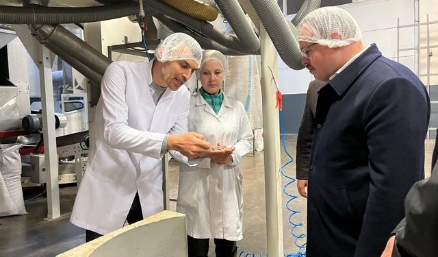 Kaynaşlı'da gıda üretim tesislerine inceleme