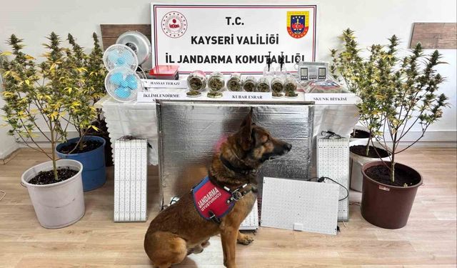 Kayseri'de uyuşturucu operasyonu