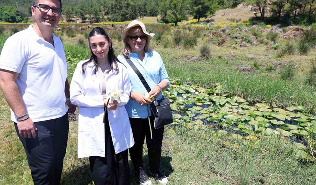 MSKÜ'nün iki projesine uluslararası kongrede birincilik ödülü