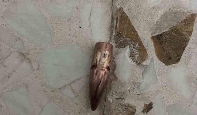 Nusaybin'de yorgun mermiler ev, araç ve iş yerlerine isabet etti