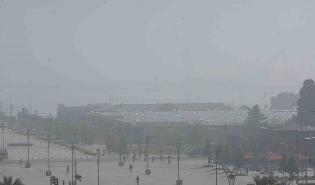 Samsun'da pus ve sis etkisini sürdürüyor