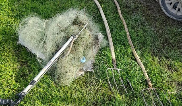 Şanlıurfa'da kaçak avcıların yakaladığı balıklar göle bırakıldı