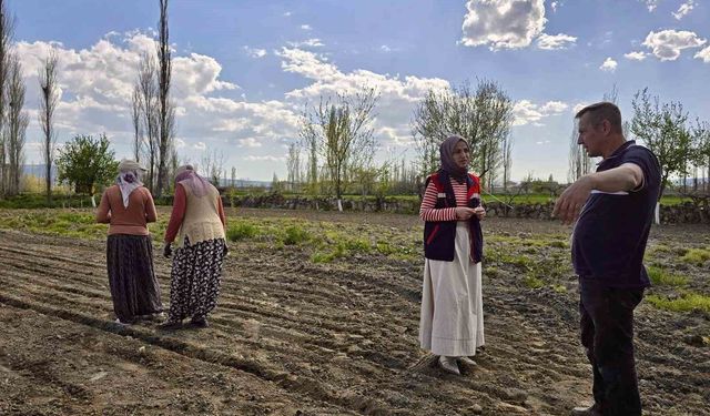 Tarım arazilerinde kontroller sürüyor