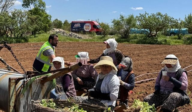 Tarım işçilerini serinleten ikram