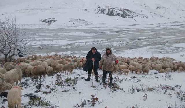Tipi vurdu heyelan yolu kapattı, 2 çoban ve yaklaşık 650 küçükbaş hayvan yaylada mahsur kaldı