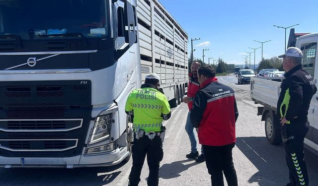 Uşak'ta hayvan sağlığı ve halk sağlığı için denetimler sürüyor