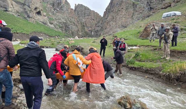 Van'da dağda mahsur kalan vatandaş kurtarıldı