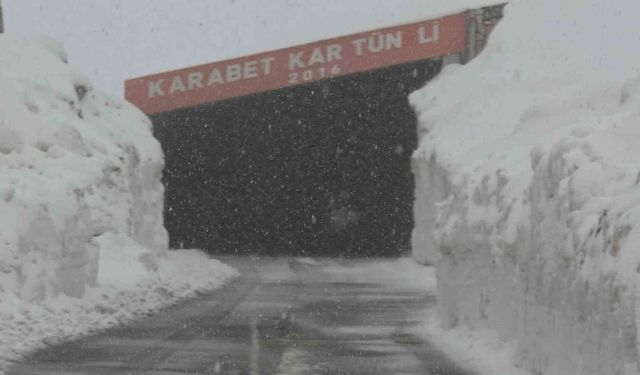 Van'ın yüksek kesimlerde kar yağışı etkili oldu