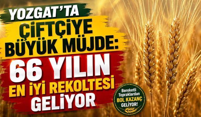 Yozgat'ta Çiftçiye Büyük Müjde: 66 Yılın En İyi Rekoltesi Geliyor