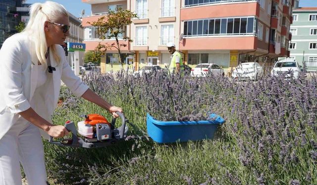 60 ülkeden 381 proje arasında Bilecik ve İstanbul yer aldı