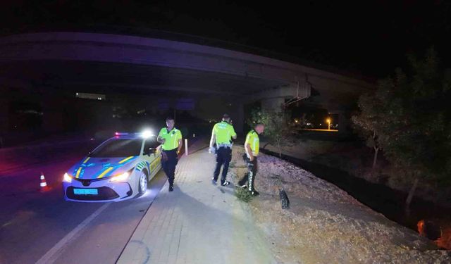 Ağaçlık alana uçan otomobilin acil çağrı sistemi ekipleri harekete geçirdi