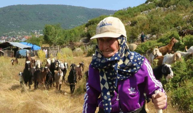 Antalya'nın süper çobanı Emine Nine: 94 yaşında, 90 yıldır keçileriyle dağlarda