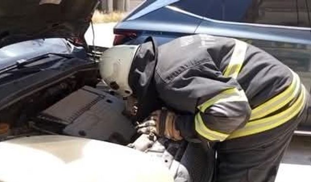 Arsuz'da aracın motor kısmına giren yavru kedi kurtarıldı