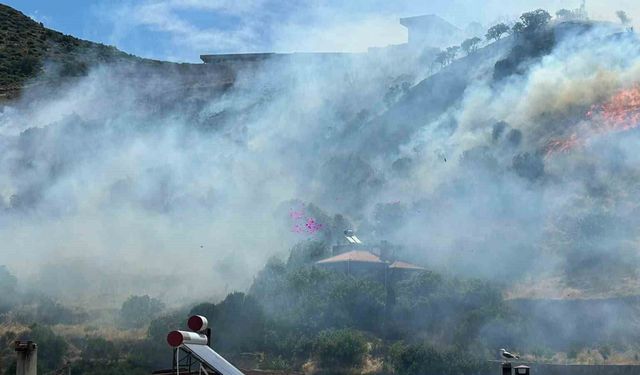 Ayvacık'ta makilik alanda yangın çıktı