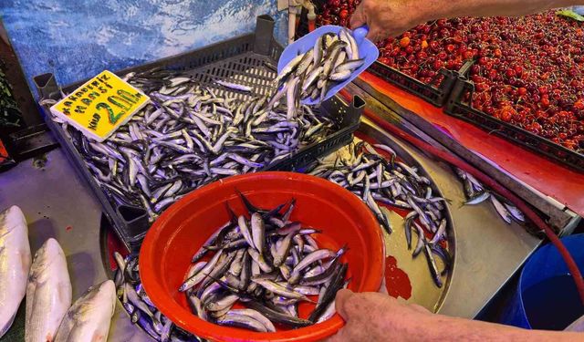 Balıkçı esnafından 'Yazın balık yenmez' algısına tepki