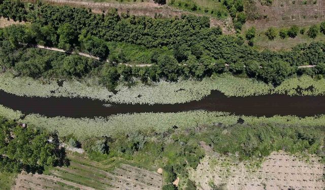 Bayramın en gözde adresleri Acarlar Longozu ve İl Ormanı oldu