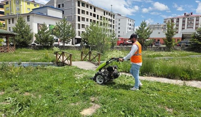 Belediye ekiplerinden yaz temizliği
