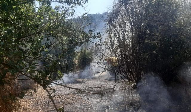 Bilecik'te otluk alanda yangın çıktı