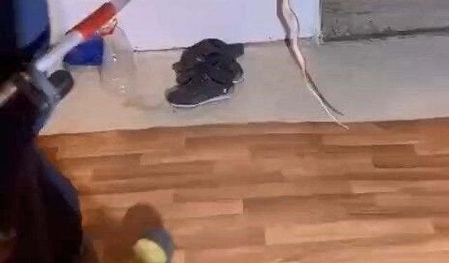 Buzdolabının içerisine giren yılanı itfaiye ekipleri çıkardı