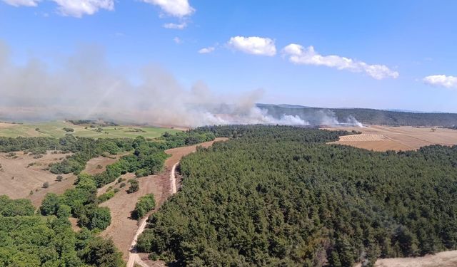 Çanakkale'de tarım arazisinde başlayan yangın ormana sıçradı