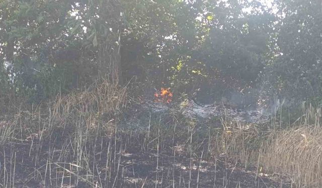 Çan'da tarla yangınında 2 ekili alan kül oldu