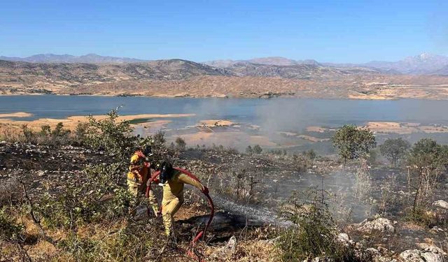 Diyarbakır'daki orman yangını kontrol altına alındı