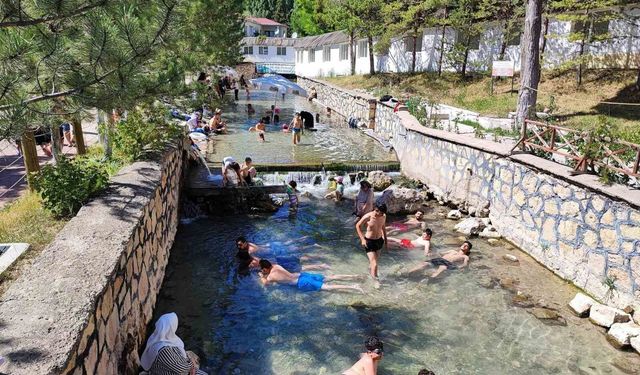 Dünyaca ünlü 'doktor balıklar' tartışmasına Sivas Valiliği noktayı koydu