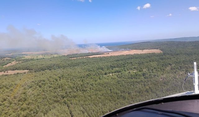 Eceabat'ta ormanlık alana sıçrayan yangın kontrol altına alındı
