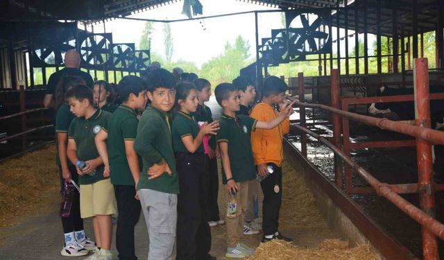 Edremit'te Dünya Süt Günü'nde çocuklara çiftlikte uygulamalı eğitim