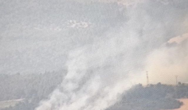 Elektrik tellerine çarpan karga yangına sebep oldu