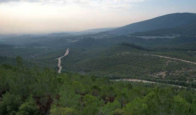 İzmir'de ormanlara giriş yasağı başladı