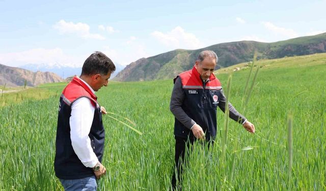 Kars'ta fenolojik gözlem çalışmaları sürüyor